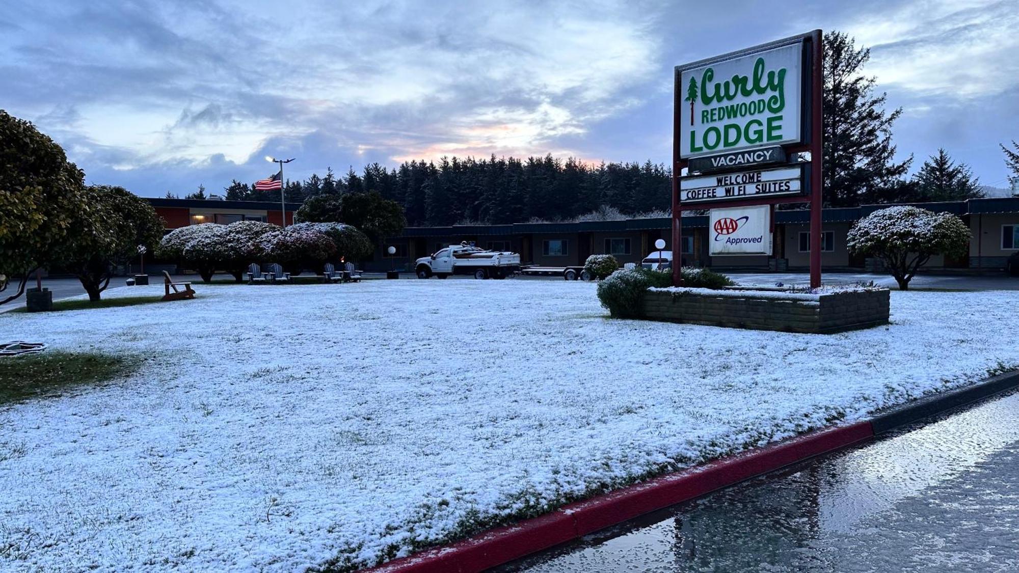 Curly Redwood Lodge Crescent City Zewnętrze zdjęcie