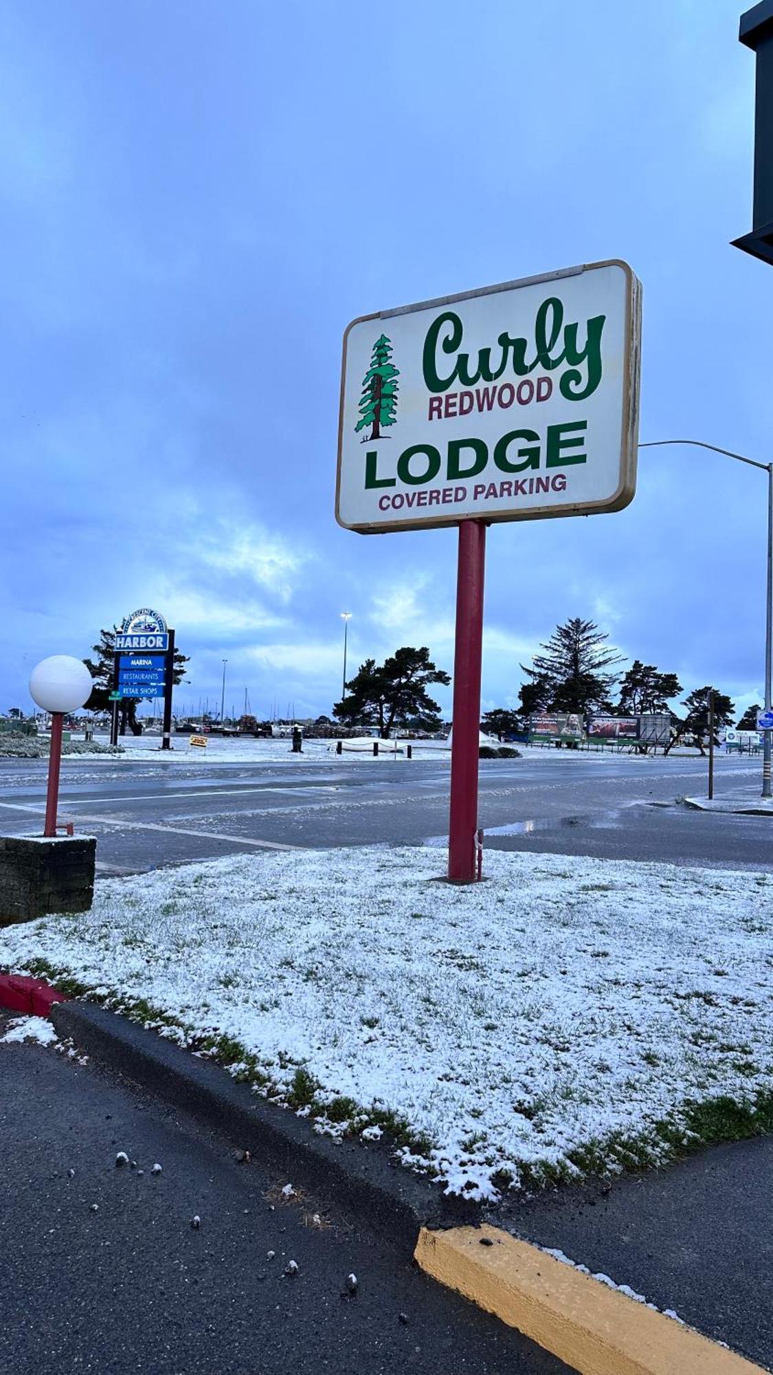 Curly Redwood Lodge Crescent City Zewnętrze zdjęcie