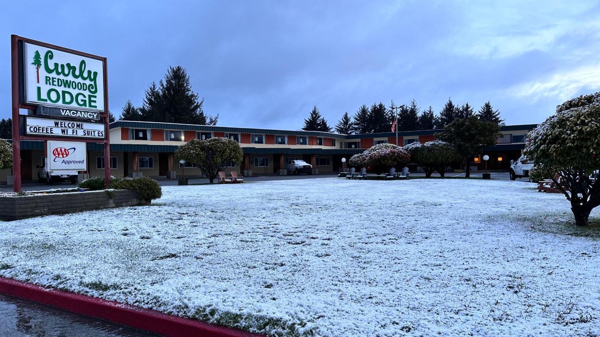 Curly Redwood Lodge Crescent City Zewnętrze zdjęcie